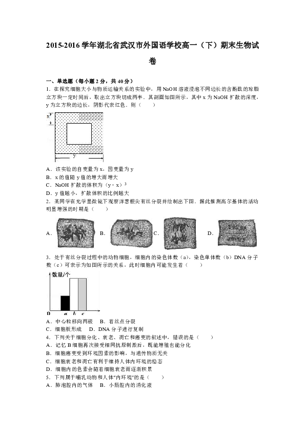 武漢生物學(xué)院的規(guī)模及其科技評(píng)估解析說(shuō)明，快速計(jì)劃解答設(shè)計(jì)_投資版92.66.96